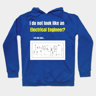 I Do Not Look Like An Electrical Engineer? Hoodie